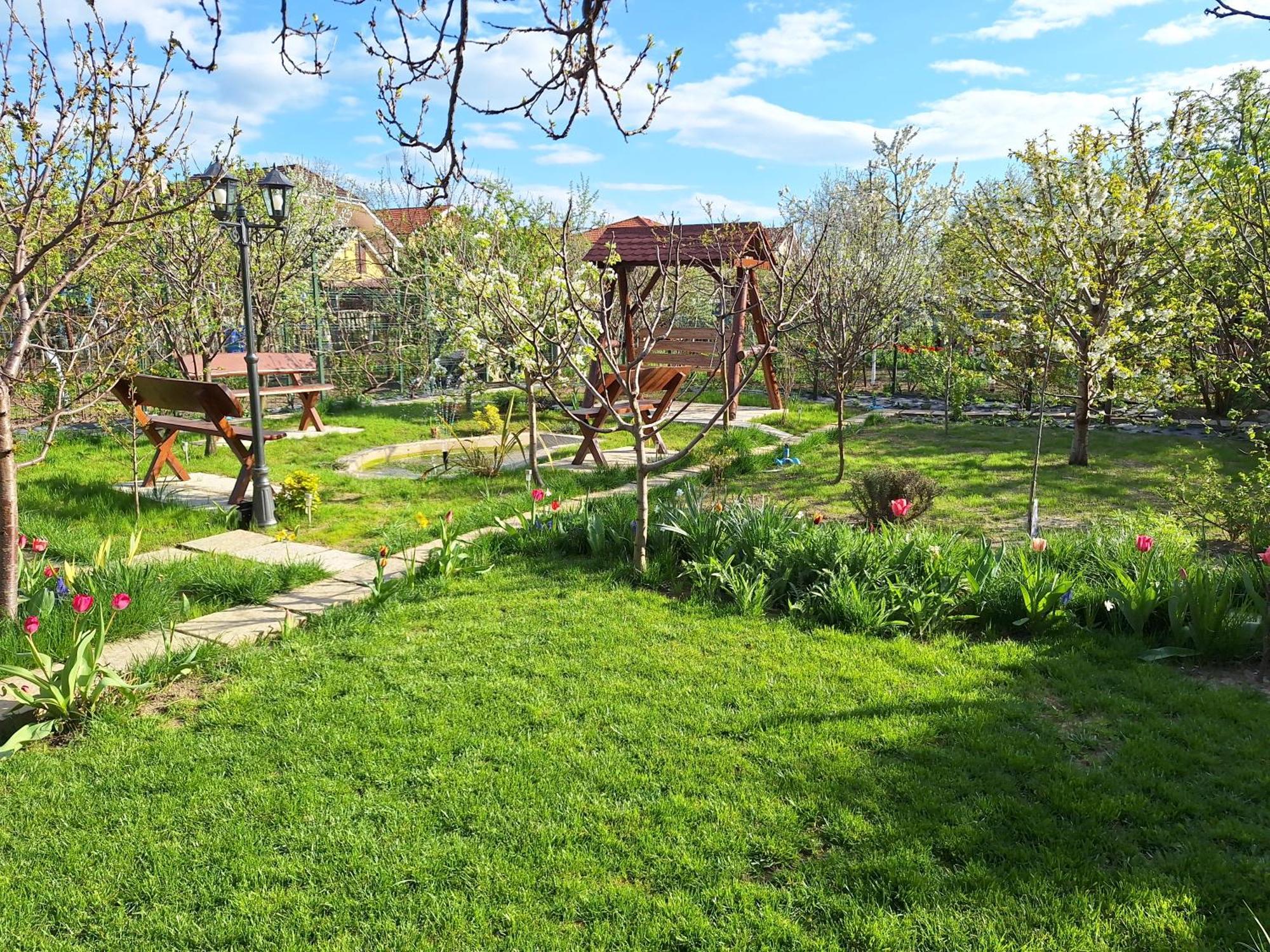 Trend Bed & Breakfast Арад Екстериор снимка